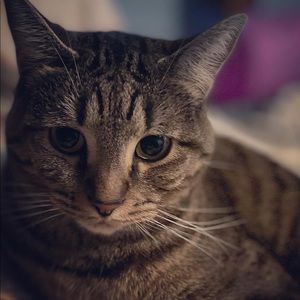 Meet your Posher, Michael